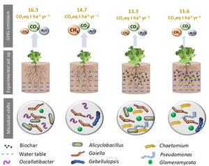 Wetter farming: raising water table and biochar for reduced GHG emissions while maintaining crop productivity in agricultural peatlands