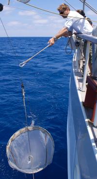Net Microplastics