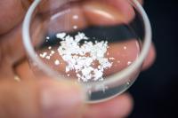 Ensilicated Proteins