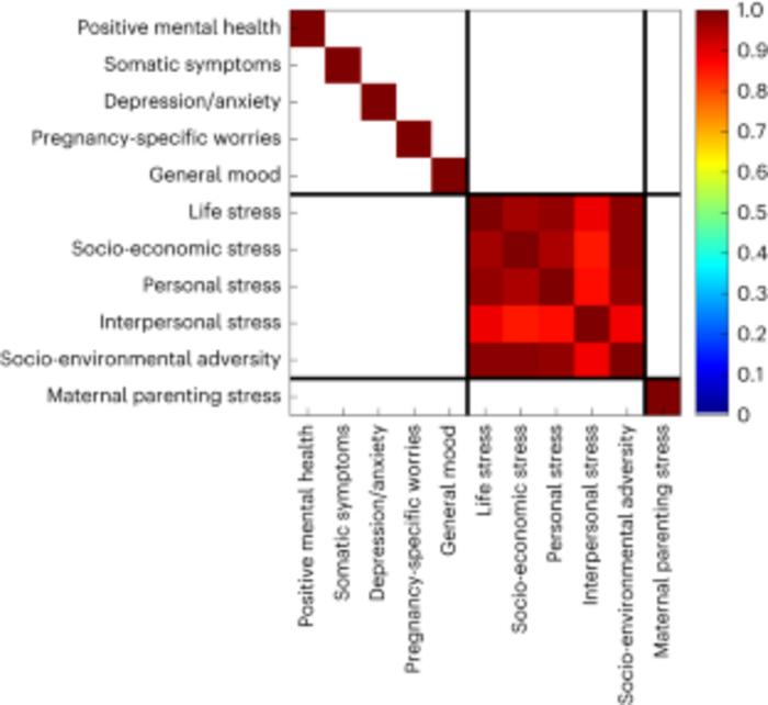 Heatmap among maternal mood during pregnancy, socio-environmental risks during pregnancy and postnatal maternal parenting stress
