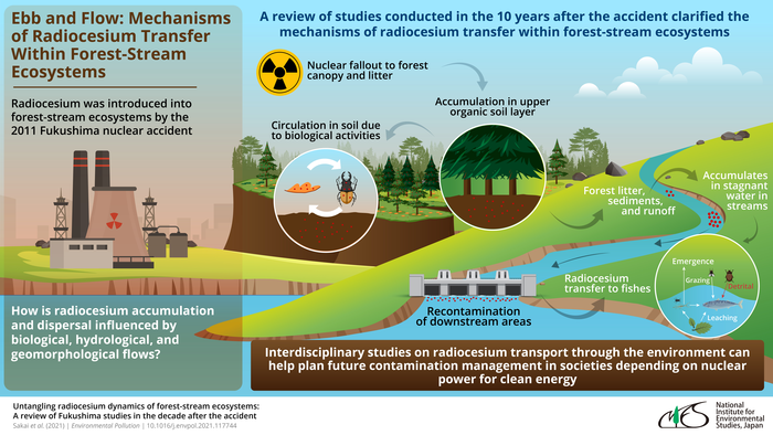 Ebb and flow: mechanisms of radiocesium transfer within forest-stream ecosystems