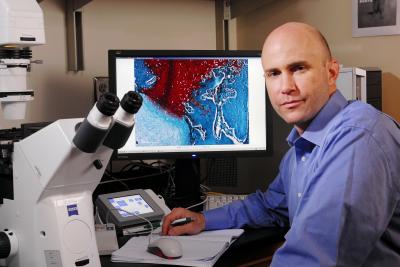 Robert Guldberg, Georgia Institute of Technology Research News (1 of 2)
