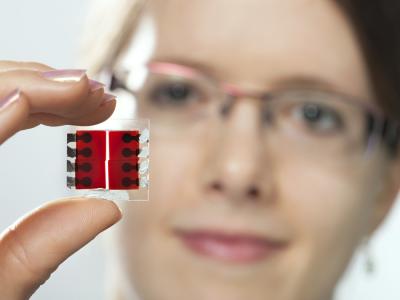 Organic Sensor (1 of 2)