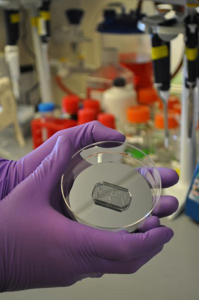 Organ-on-a-Chip
