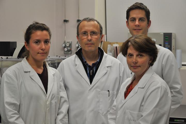 Southampton Research Team