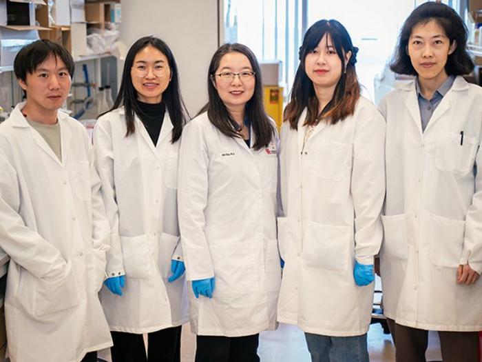 University of Houston cancer researchers