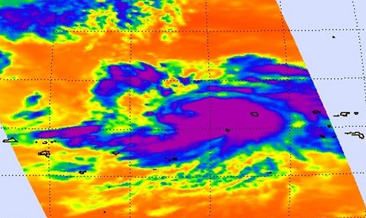 Aqua Image of Nangka