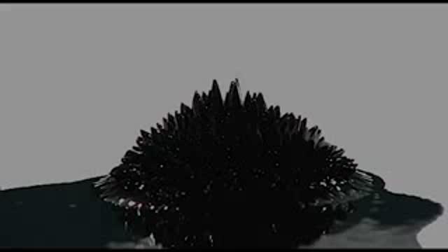 Scientists Untangle Nanotubes to Release their Potential in Electronics Industry