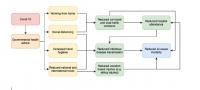 Possible Mechanisms