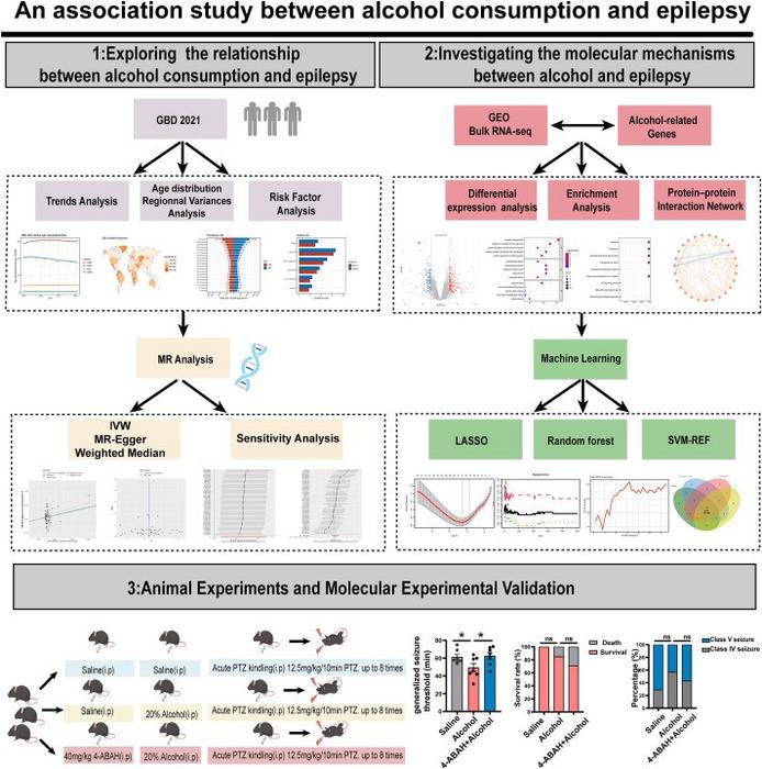 Analytical workflow for investigating the potential risk of epilepsy associated with alcohol consumption