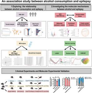Analytical workflow for investigating the potential risk of epilepsy associated with alcohol consumption