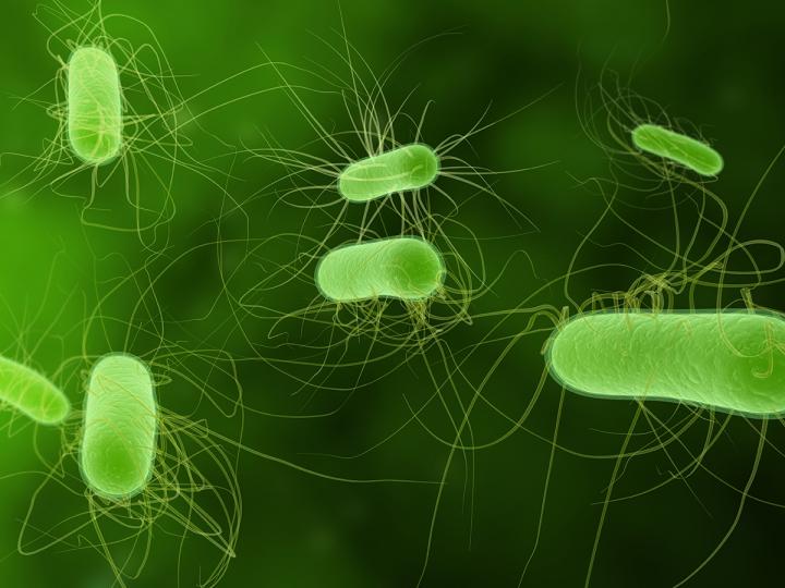 Engineering a Better Biofuel