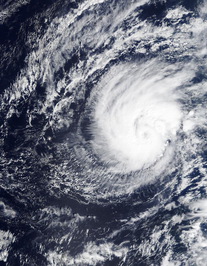 Terra Image of Pali