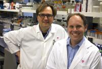 Researchers