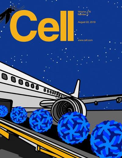 Using Genomics and Travel Data to Piece Together An Outbreak