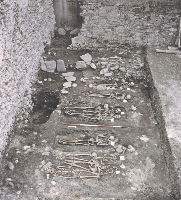 Excavation_overview_DomatEms.jpg.png