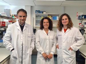 Fisabio reveals that a natural molecule present in the human body protects against the flu