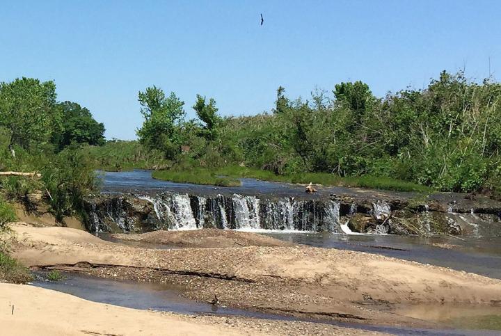 Discovery Site -- Owl Creek Formation