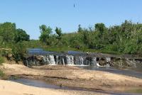 Discovery Site -- Owl Creek Formation