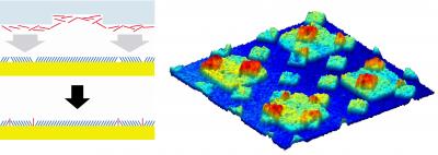 Microprinting Technique for Patterning Single Molecules