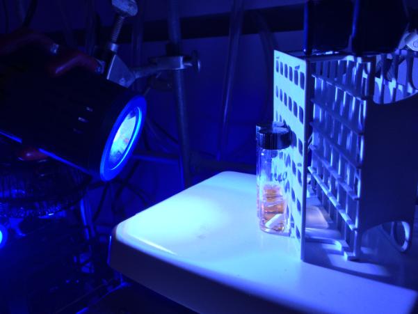 Photoredox Catalysis
