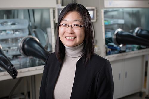 Professor Ying Diao, University of Illinois Urbana-Champaign