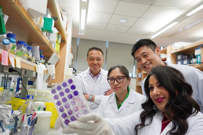 Research Team