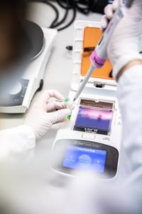 Hub of cutting-edge research: The Institute of Science and Technology Austria (ISTA)