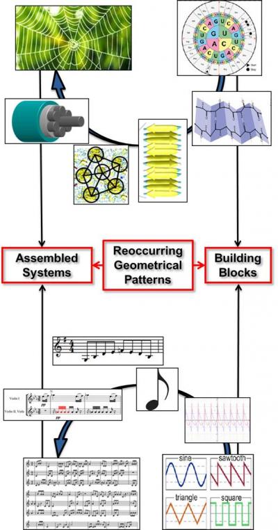 A Picture Olog of Spider Silk and a Melody