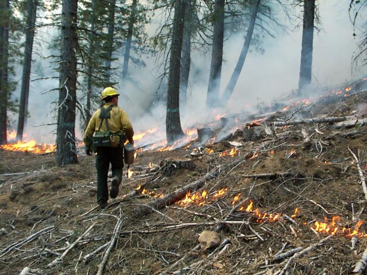 Prescribed Burn in Northern California