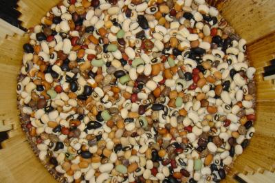 Cowpea