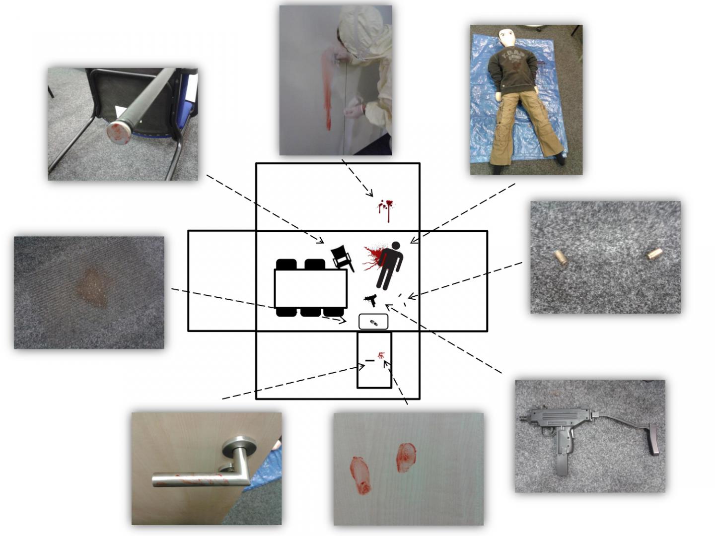 CSI Effect Experiment