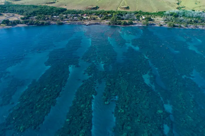 Olowalu coral reef, coastal shot