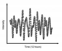 Light Variations of the Star HD 187547