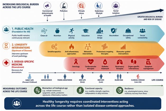 Public health in the age of longevity interventions: from prevention to system-wide resilience
