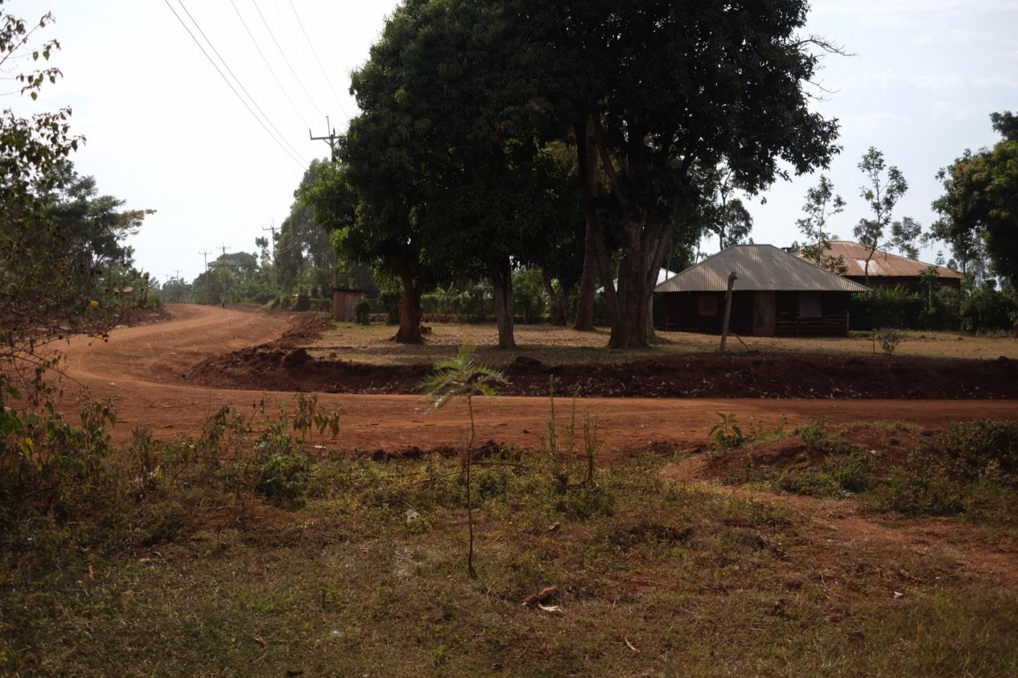 Homestead in Sauri Village Cluster
