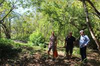 Walking in the garden