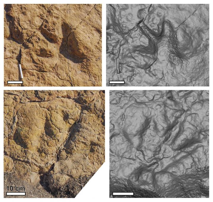 Footprint Image for Press