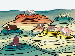 The evolution from reptile-like to upright posture in mammals was highly dynamic and complex