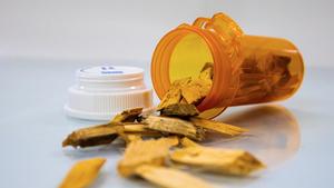 Bioproduct-news-feature