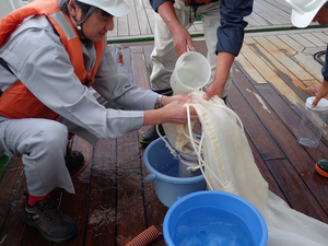 Gathering Microplastics