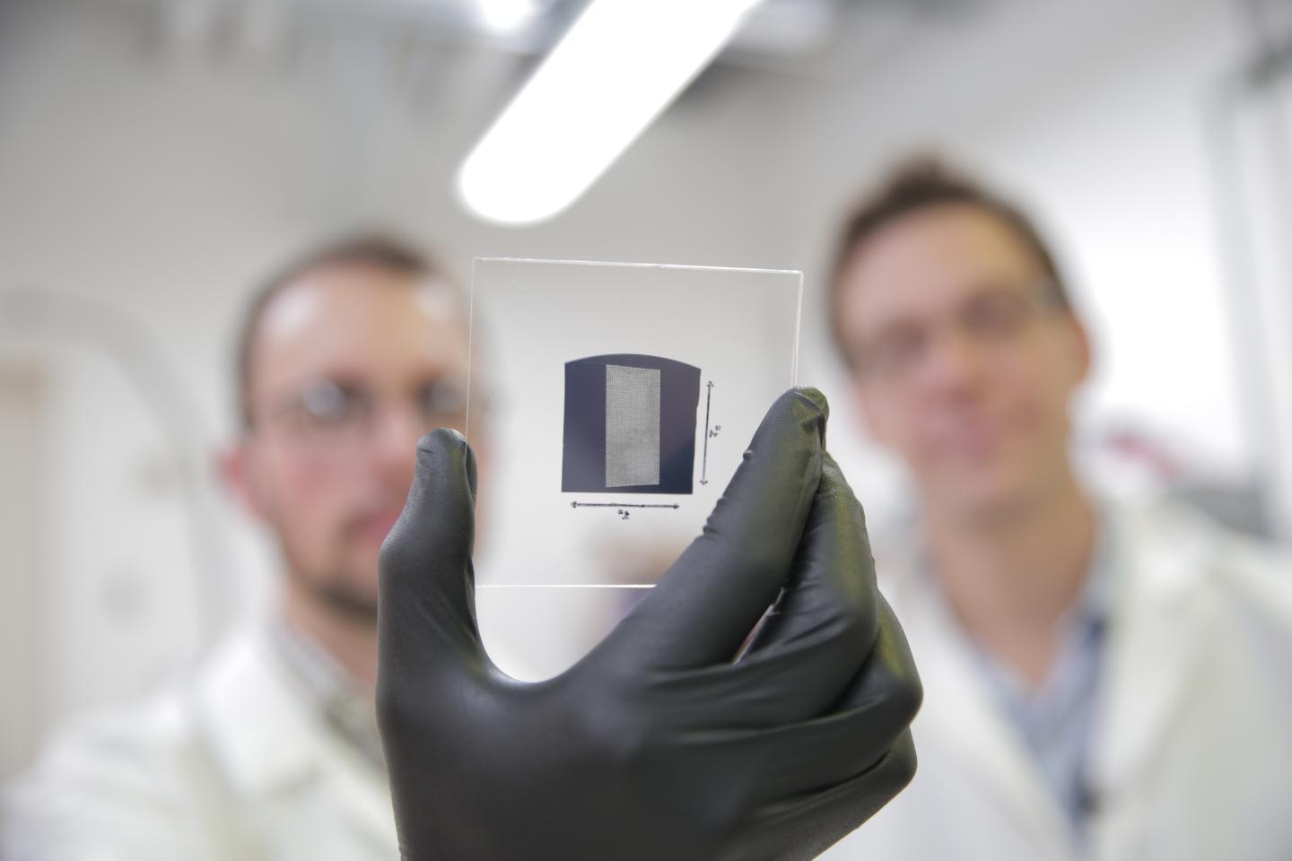 Carbon Nanotube Substrate