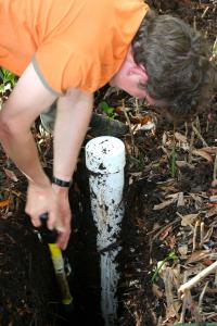 Florida Peat