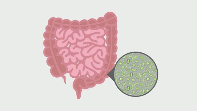 Microbiome in Flux