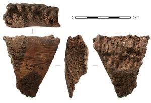 Fragment of a Fin Whale vertebra