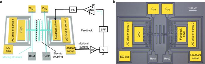 PT-symmetric silicon micromechanical resonators.