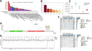 Distinct genomic profile analysis of CISD1 in various cancers.
