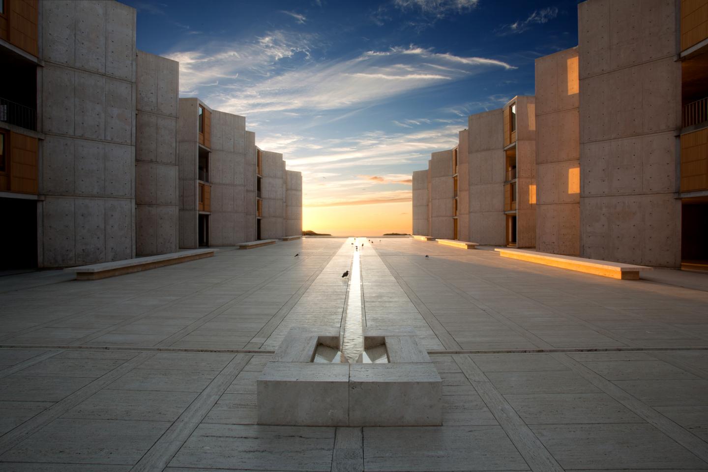 Salk Institute