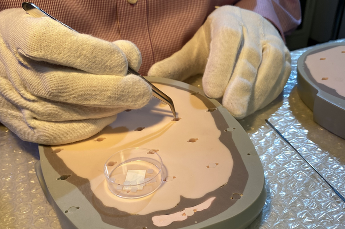 Installation of passive thermoluminescent detectors in the phantom