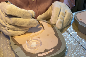 Installation of passive thermoluminescent detectors in the phantom